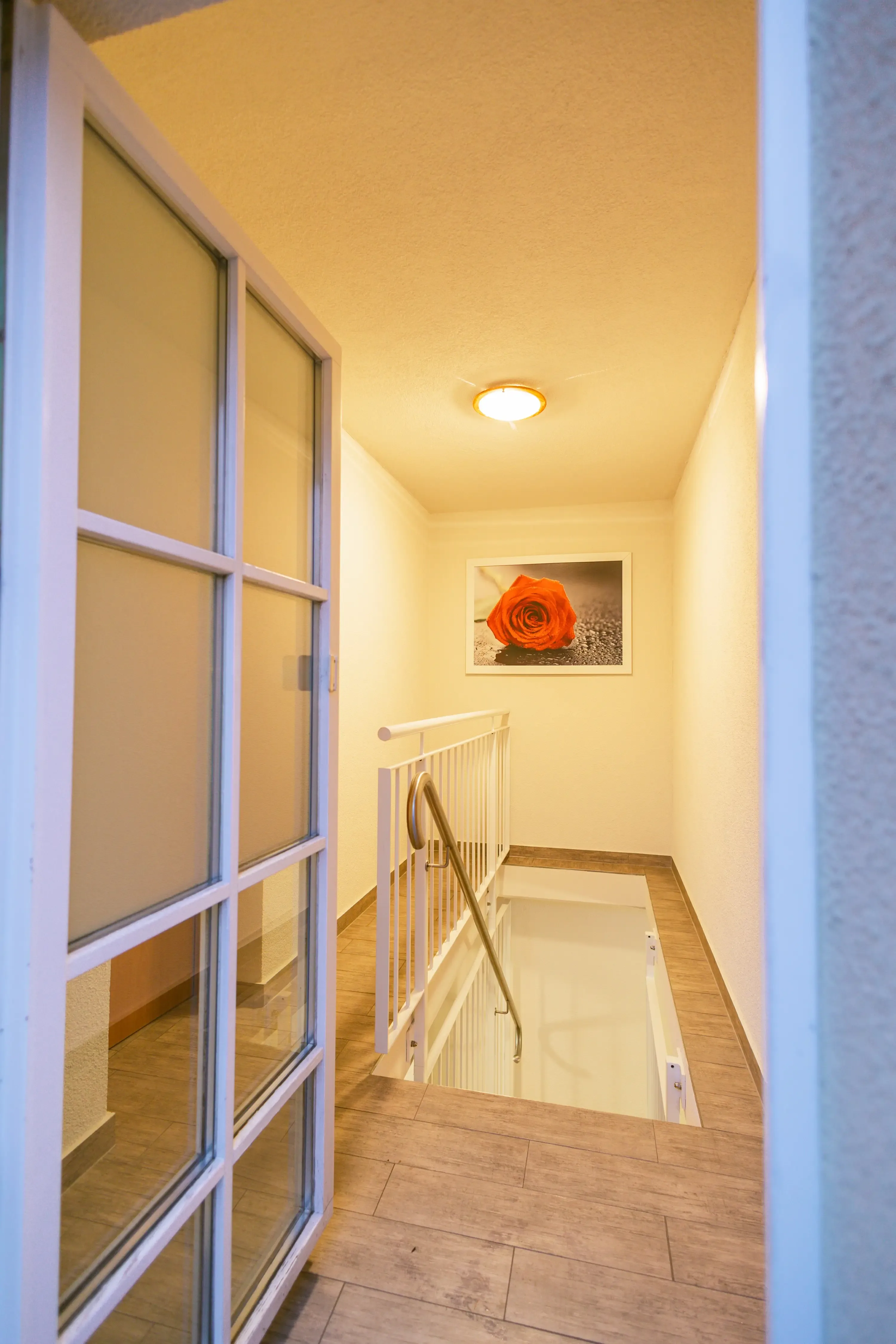 Flur mit Treppe nach unten, links eine Glastür mit weißen Rahmen und an der Wand ein Bild mit einer roten Rose