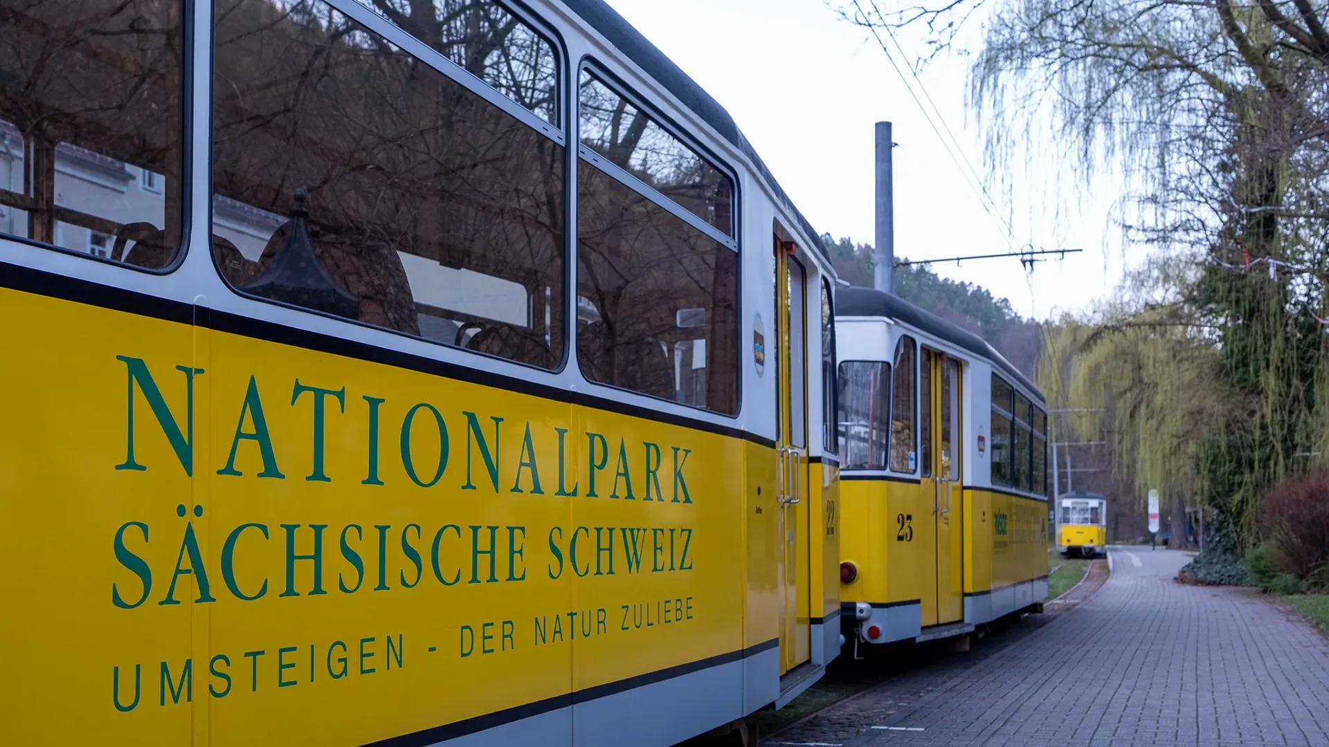 Mehrere gelbe Bahnwaggons mit der Aufschrift 'Nationalpark Sächsische Schweiz Umsteigen - Der Natur zuliebe' stehen an einem Bahnsteig in einer bewaldeten Umgebung.