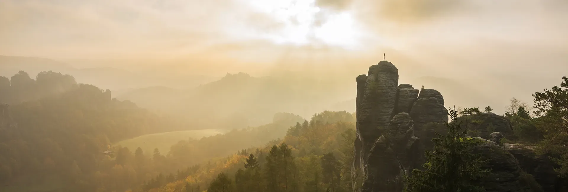 Blick über einen Wald mit schroffen Felsen