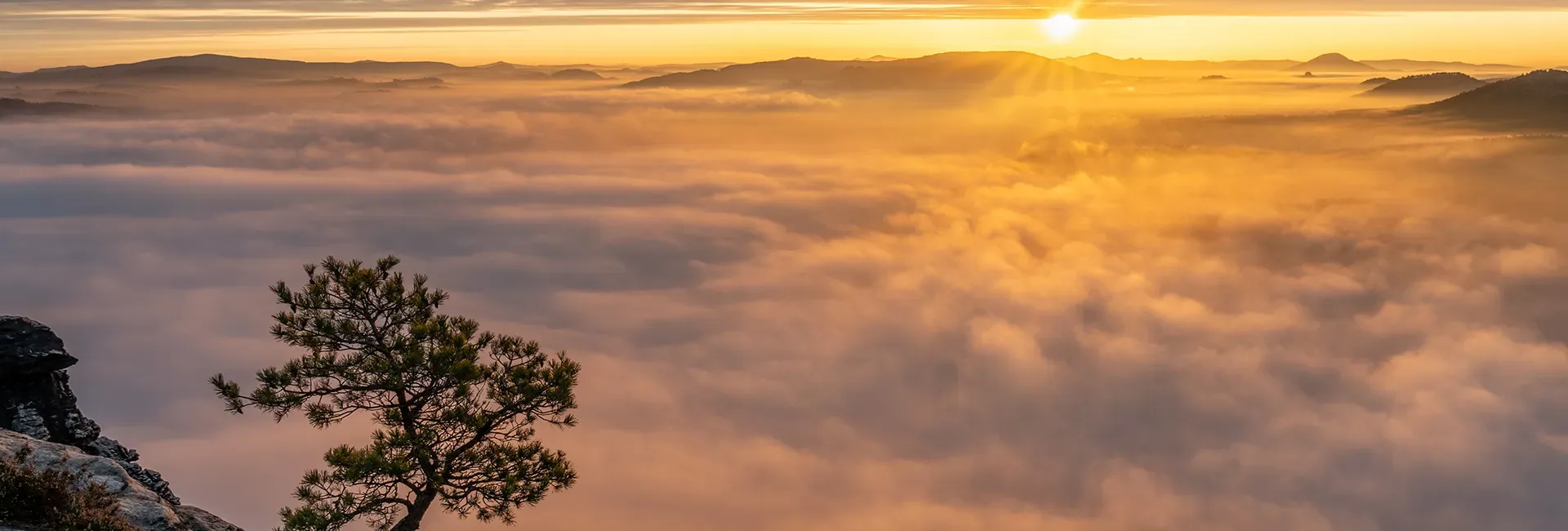 Sonnenaufgang über einem nebelverhangenen Tal mit einem Baum auf einem Felsen im Vordergrund