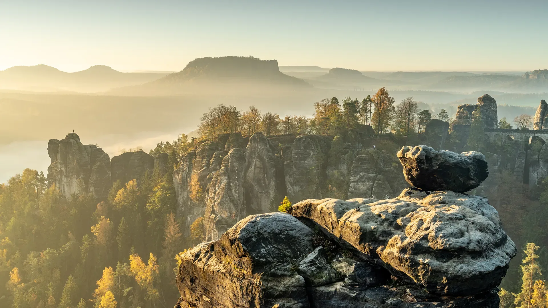 Felsformationen mit einzelnen Bäumen in einem nebligen Tal bei Sonnenaufgang